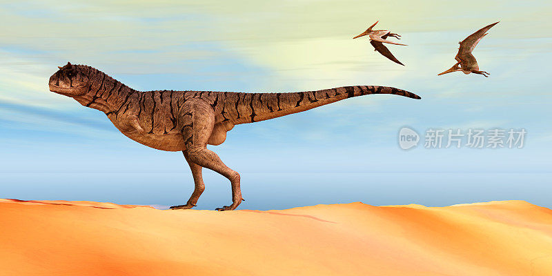 Carnotaurus sastrei恐龙